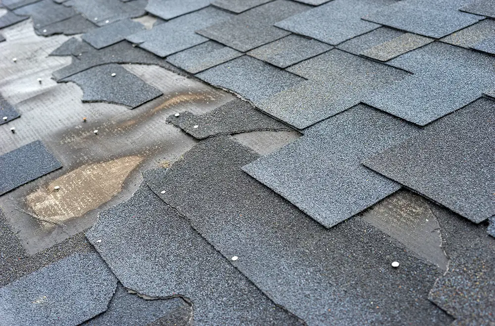 roof-damage roof-damage